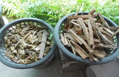 เปลือกไม้ เช่น ไม้ประดู่ ไม้นนทรี