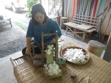 แยกเม็ดฝ้ายโดยการอีด