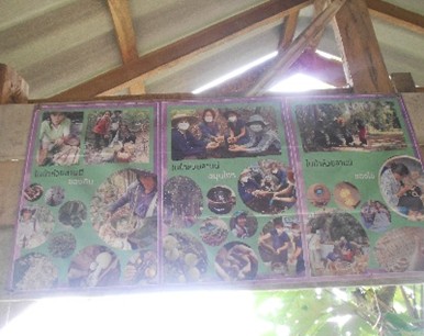 กิจกรรมต่างๆ