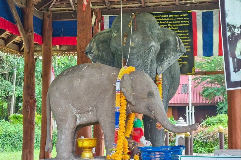 บวงสรวงอนุสรณ์สถานช้างเผือก – ประเพณีท้องถิ่นออนใต้