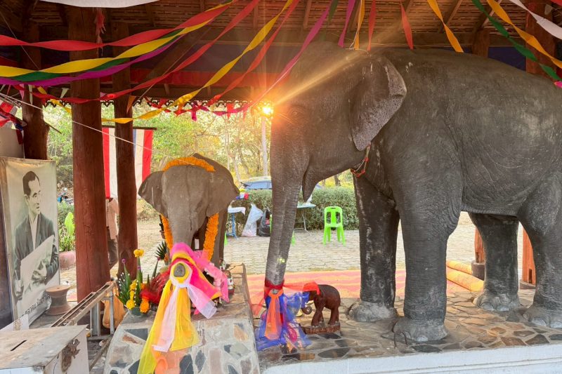 งานบวงสรวงช้างเผือก (พลายภูบาลรัตน์) ประจำปี 2569 ณ อนุสรสถานช้างเผือก (คุ้มพญาคชสาร ภูบาลรัตน์) บ้านแม่ผาแหน ม.6 ต.ออนใต้ อ.สันกำแพง